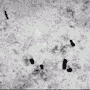 /album/fotogaleria-inicio/nk-gif1/